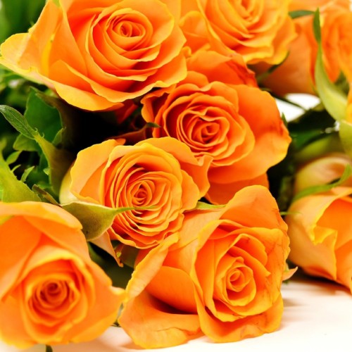 シークに買われた花嫁