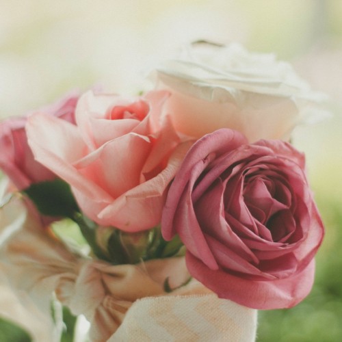 塔の中のペルセフォネ