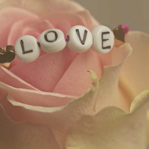 春が訪れる前に