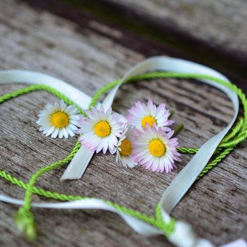 明かせぬ愛の証