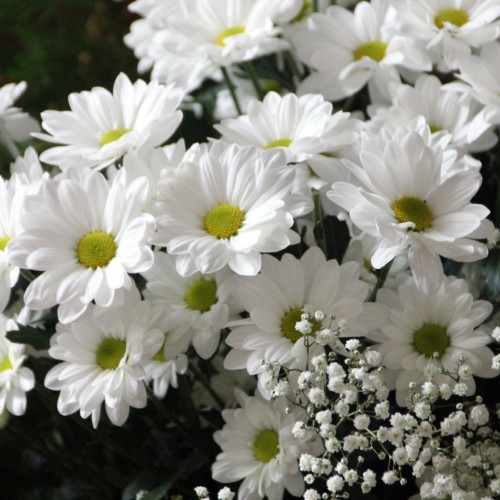 億万長者に片想い