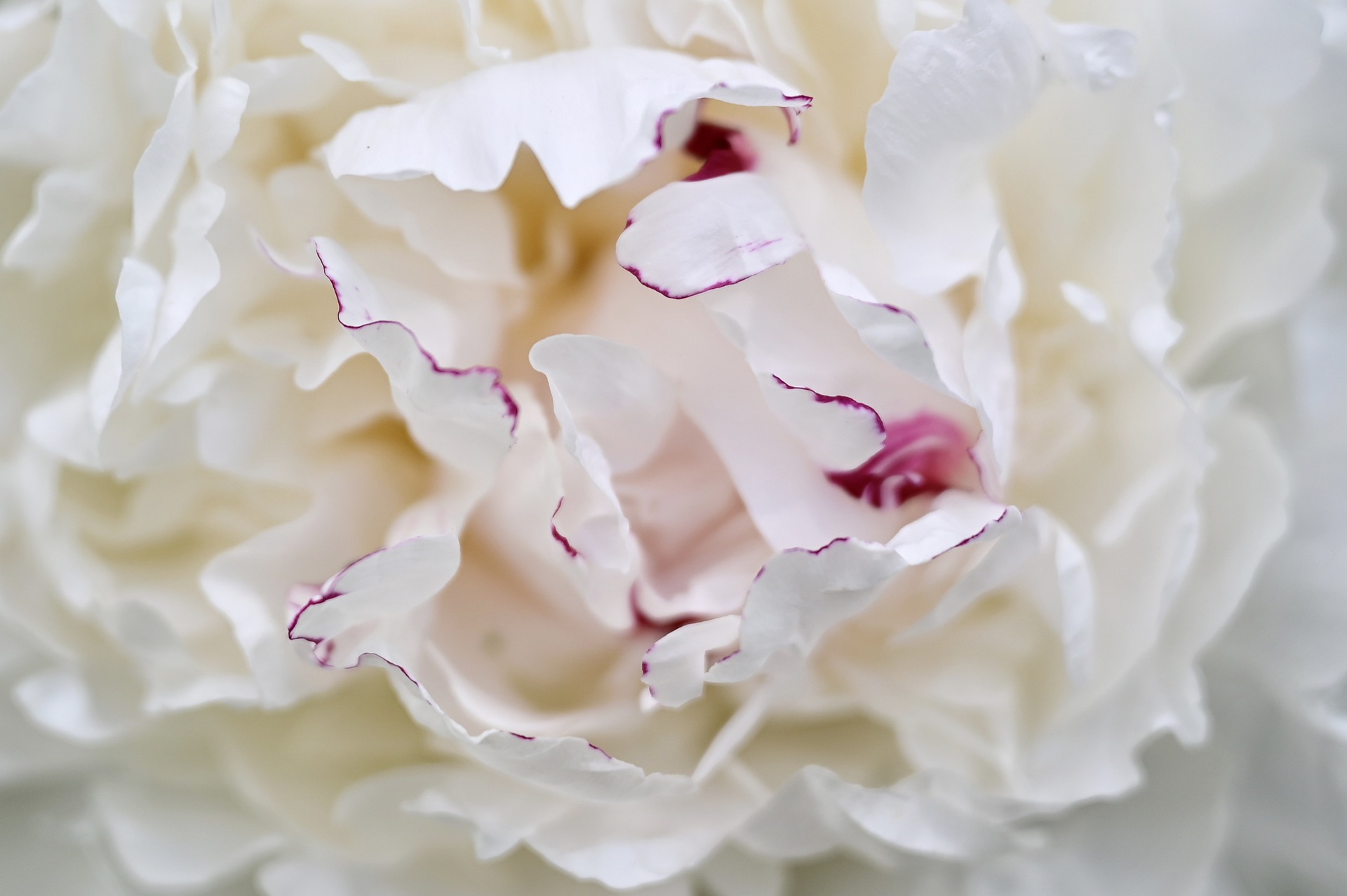 秘書以上、愛人未満