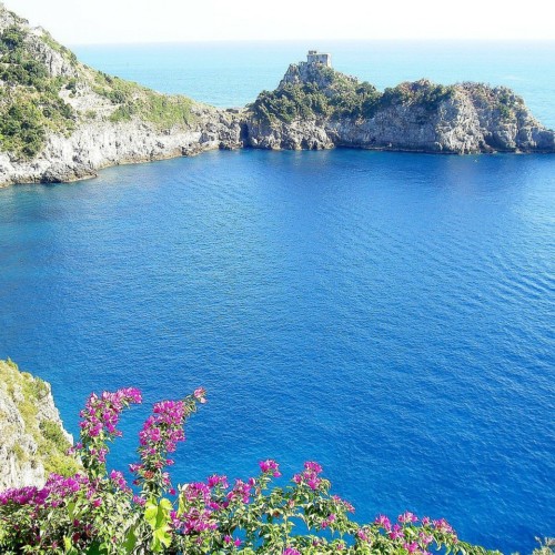 拾われた1ペニーの花嫁