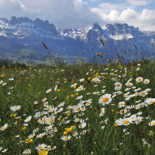 はじまりはハプニング