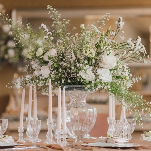 公爵に捧げた無垢な恋