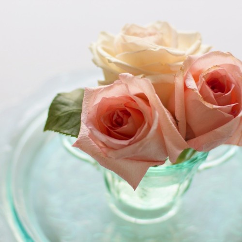 三人のメリークリスマス