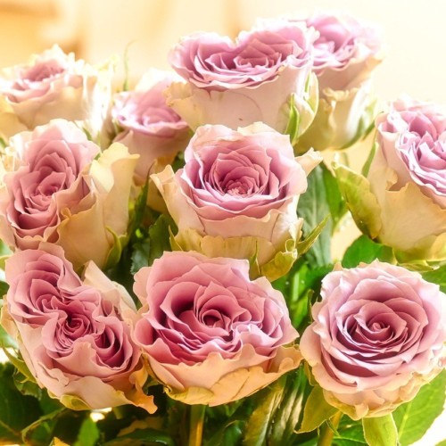 ハートのときめき