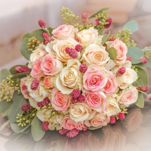 ハーレクイン・金の鳥かごの寵姫