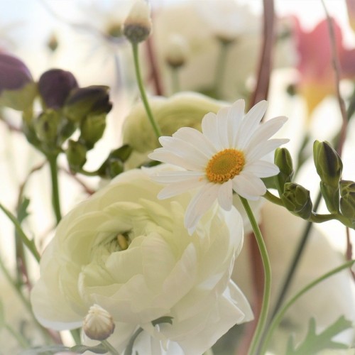 オフィスのシンデレラ