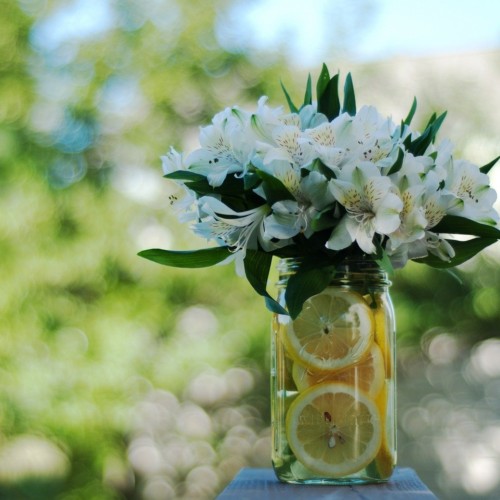 シンデレラの恋は儚く