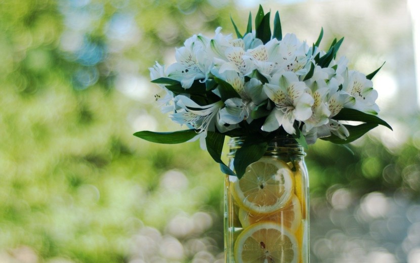 シンデレラの恋は儚く