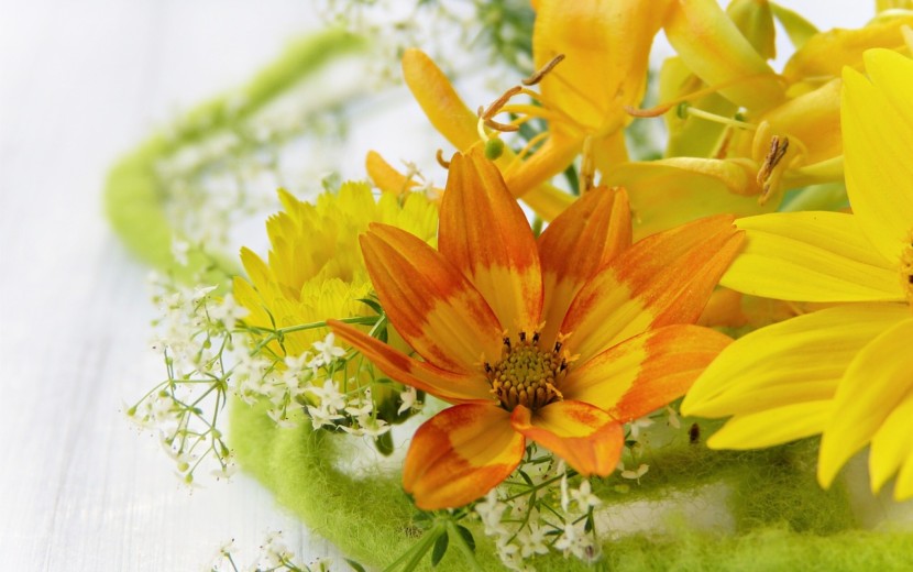 愛のアラベスク・ハーレクインコミックス