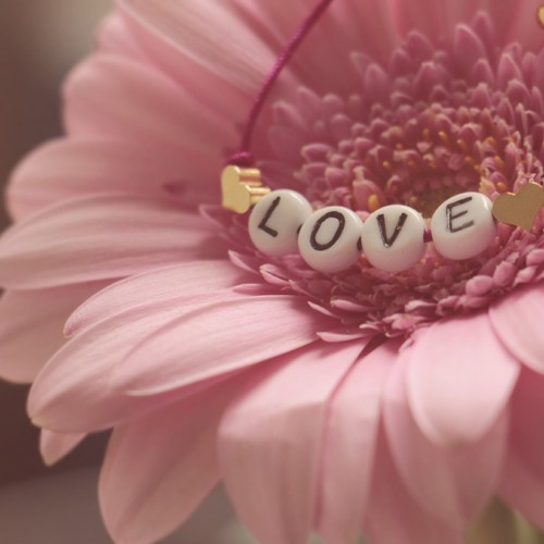 華やかな疑惑・ハーレクインコミックス