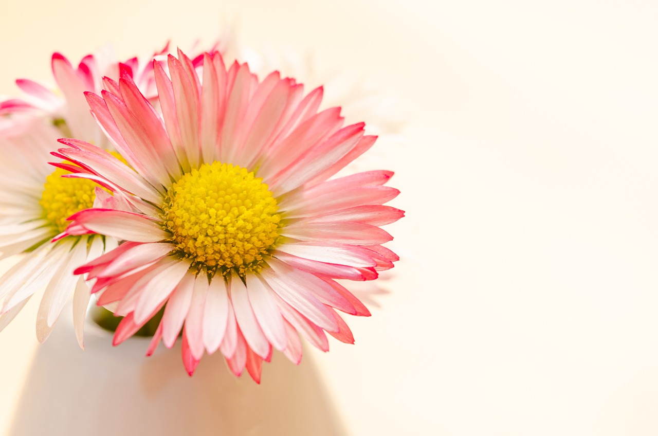 見せかけの恋人・ハーレクインコミックス