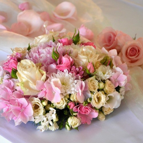 王子様に片思い・高井みお