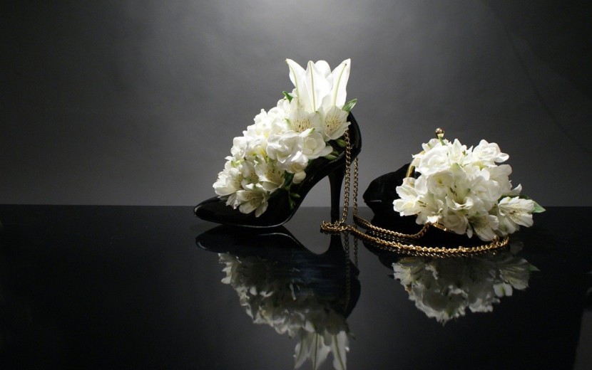 シンデレラに靴を