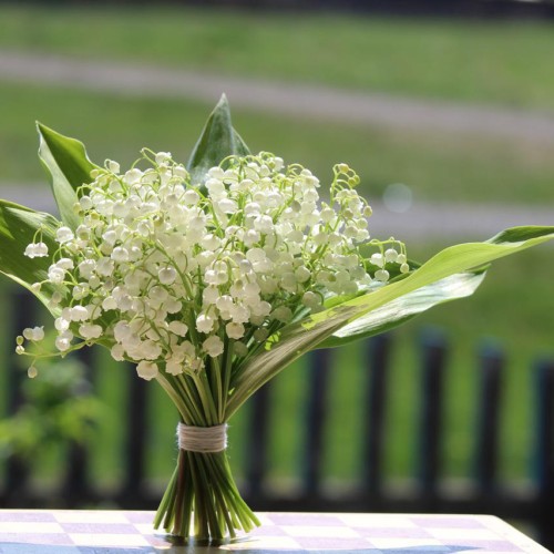 愛さえあれば？・狩野真央